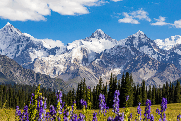 Le Xinjiang Ouïghour Lance un Concours de Photographie Mondial avec des Prix de 50 000 ¥ Le Xinjiang Ouïghour Lance un Concours de Photographie Mondial avec des Prix de 50 000 ¥