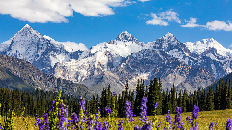 Le Xinjiang Ouïghour Lance un Concours de Photographie Mondial avec des Prix de 50 000 ¥