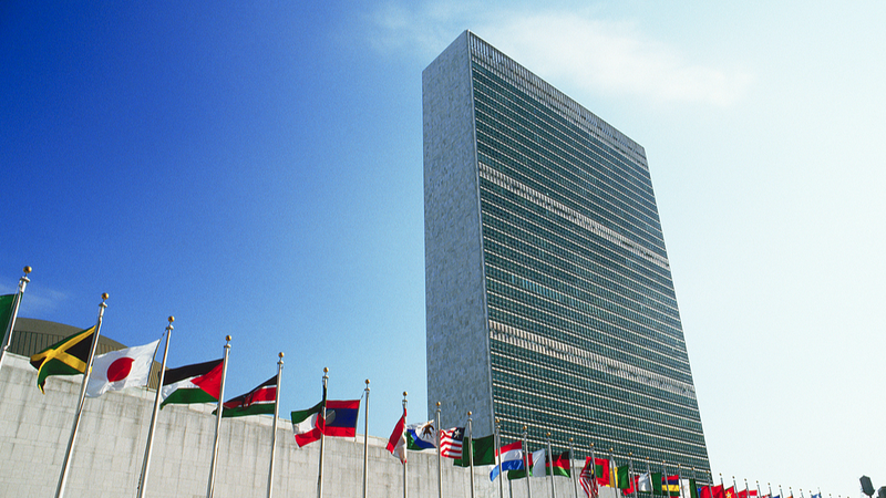 Des CDN audacieux à l’honneur lors du Sommet climatique de l’ONU 2025 Des CDN audacieux à l'honneur lors du Sommet climatique de l'ONU 2025 video poster