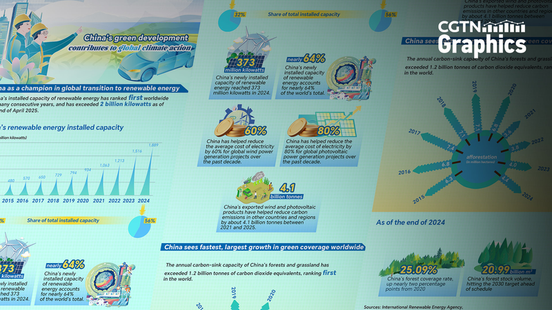 Comment la démarche écologique de la Chine stimule l'action climatique mondiale
