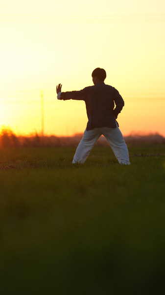 Bajiquan au coucher du soleil : un art martial trouve de nouveaux adeptes dans le Sud global Bajiquan_au_coucher_du_soleil___un_art_martial_trouve_de_nouveaux_adeptes_dans_le_Sud_global video poster