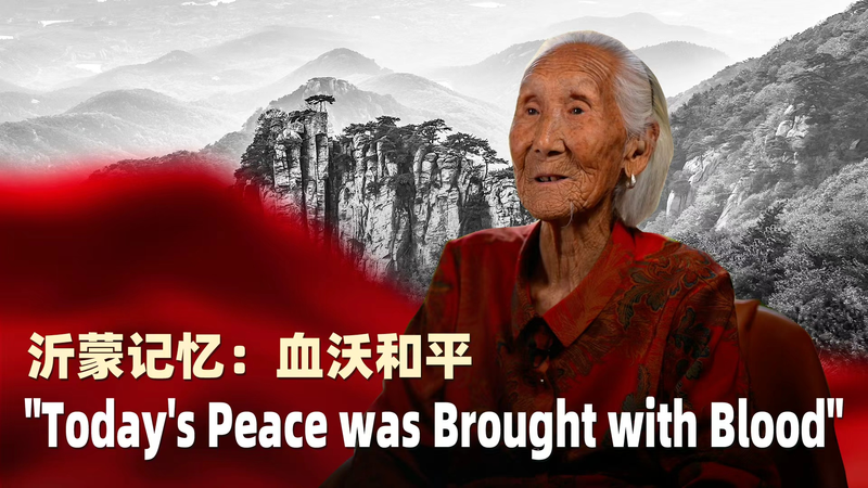 L’héritage de la montagne Yimeng : le sang a ouvert la voie à la paix L'héritage de la montagne Yimeng : le sang a ouvert la voie à la paix video poster