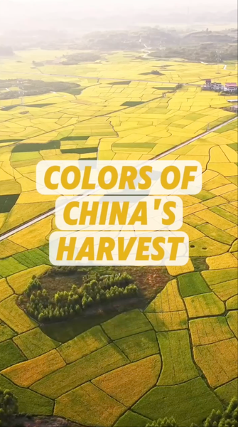 Teintes de Récolte : L’Automne en Couleurs Vivantes du Continent Chinois Teintes de Récolte : L'Automne en Couleurs Vivantes du Continent Chinois video poster