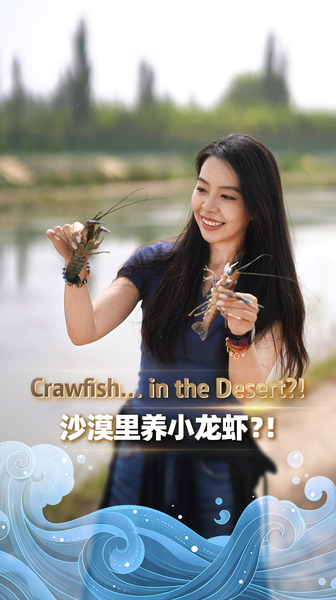 Les écrevisses du désert brillent au festival de la mi-automne à Xinjiang Les écrevisses du désert brillent au festival de la mi-automne à Xinjiang video poster