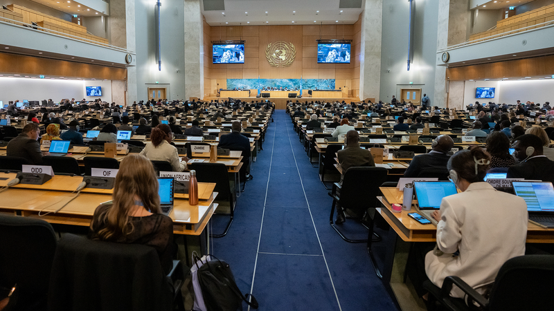 La Chine défend le développement sain des droits de l’homme mondiaux La Chine défend le développement sain des droits de l'homme mondiaux
