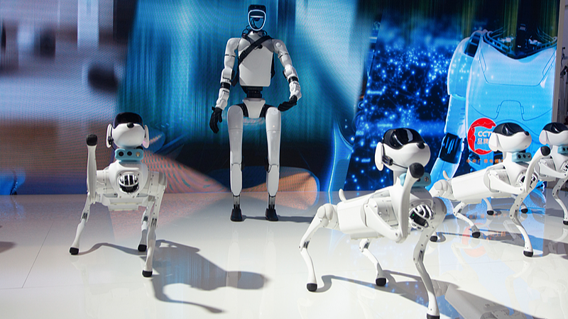 Initiative_AI____La_vision_mondiale_de_la_Chine_continentale