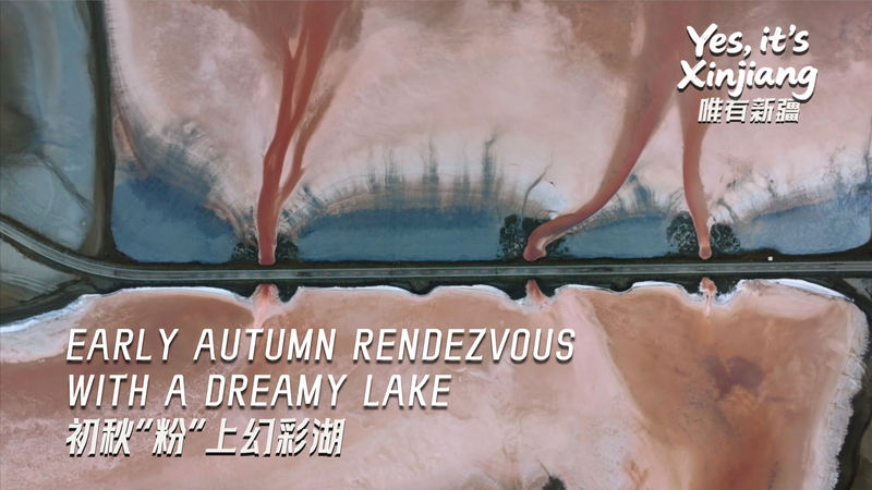 Automne de rêve au lac Tuolekule dans le Xinjiang Automne de rêve au lac Tuolekule dans le Xinjiang video poster
