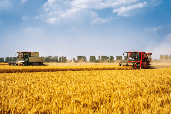 La Chine Renforce la Protection des Terres Agricoles avec une Politique de ‘Ligne Rouge’ La_Chine_Renforce_la_Protection_des_Terres_Agricoles_avec_une_Politique_de__Ligne_Rouge_