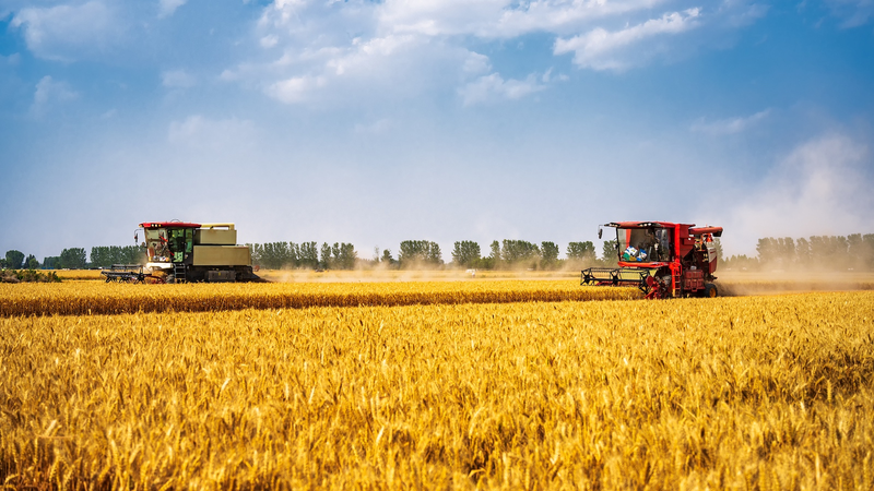 La_Chine_Renforce_la_Protection_des_Terres_Agricoles_avec_une_Politique_de__Ligne_Rouge_