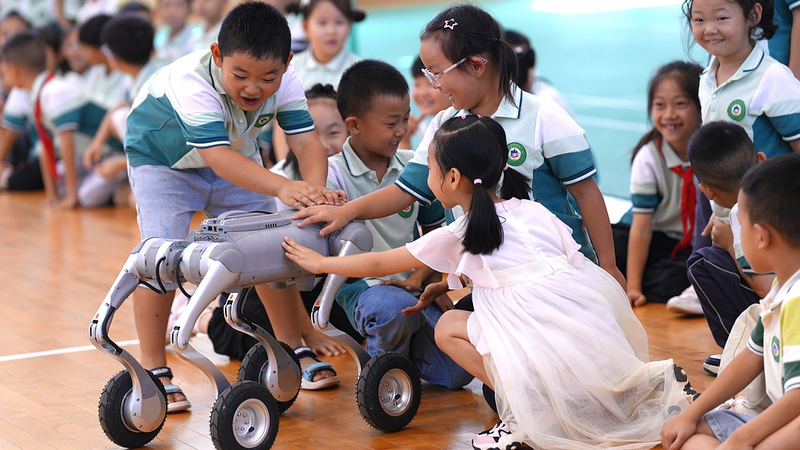 Le_continent_chinois_lance_le_premier_Carnaval_du_Mois_National_des_Sciences