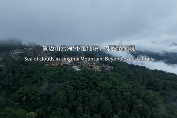 Mer de Nuages de Rêve Dévoilée sur la Montagne Jingmai Mer de Nuages de Rêve Dévoilée sur la Montagne Jingmai video poster