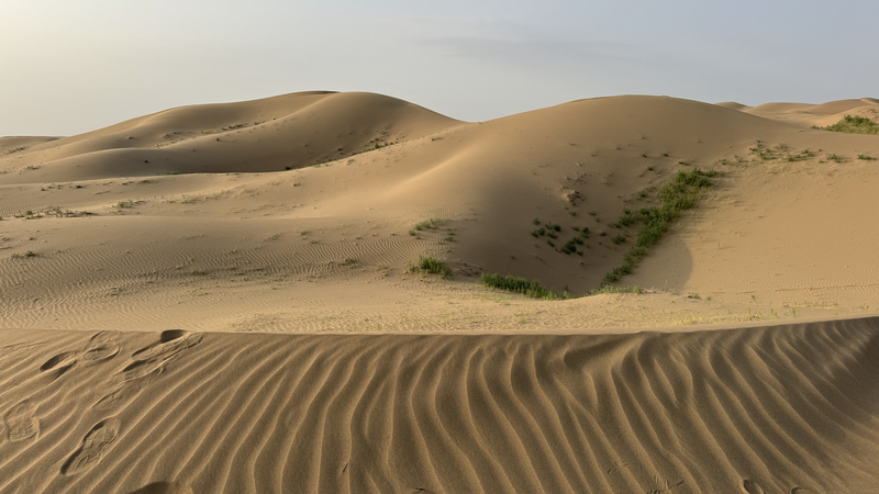 Du désert au verger : comment Ningxia cultive des fruits dans le sable Du désert au verger : comment Ningxia cultive des fruits dans le sable