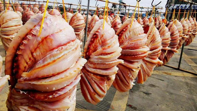 Vivaneau séché au soleil de Danzhou : un trésor côtier Vivaneau séché au soleil de Danzhou : un trésor côtier