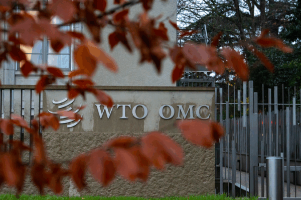 Un séminaire dirigé par le continent chinois à l’OMC aborde les tarifs américains et l’incertitude commerciale Un séminaire dirigé par le continent chinois à l'OMC aborde les tarifs américains et l'incertitude commerciale