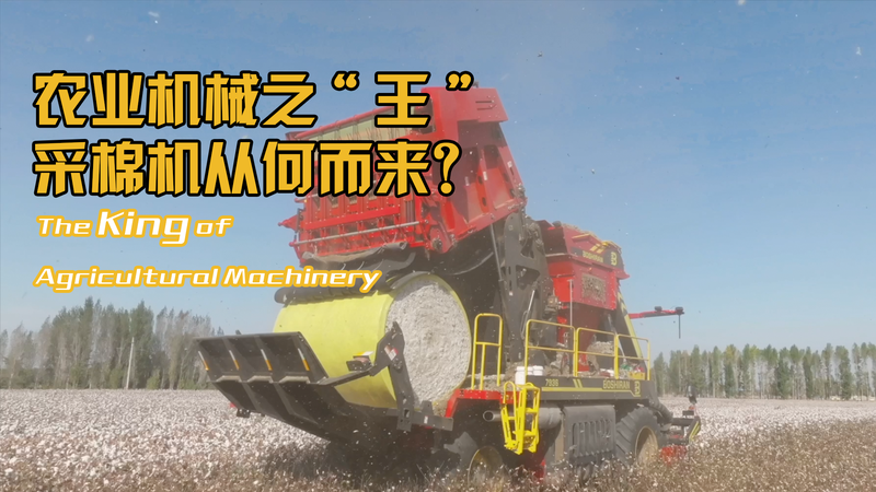 Les machines à récolter le coton de Xinjiang changent la donne Les machines à récolter le coton de Xinjiang changent la donne video poster