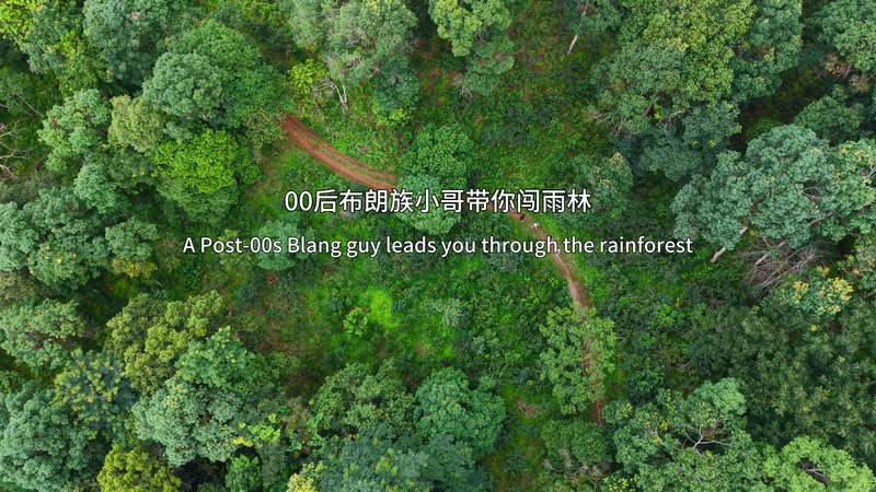 Un jeune guide Blang révèle la sagesse écologique de la montagne Jingmai Un jeune guide Blang révèle la sagesse écologique de la montagne Jingmai video poster