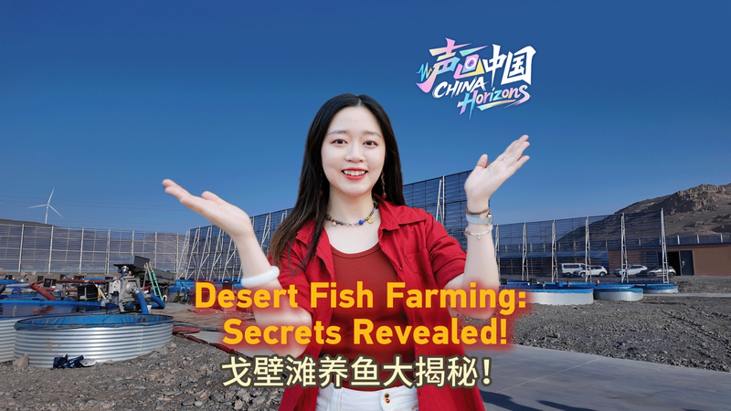 Aquaculture de poisson dans le désert : le secret du Gobi de Turpan Aquaculture de poisson dans le désert : le secret du Gobi de Turpan video poster