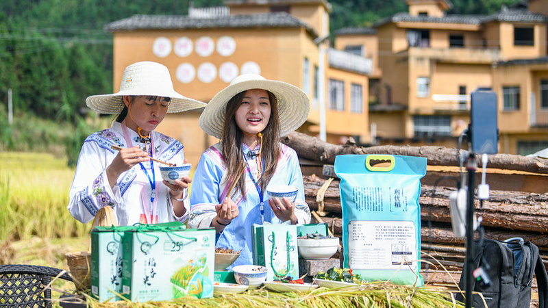À l’intérieur du Festival de la Récolte des Agriculteurs Chinois : Stimuler l’Économie Rurale À l'intérieur du Festival de la Récolte des Agriculteurs Chinois : Stimuler l'Économie Rurale