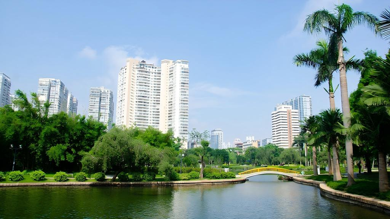 Rythmes relaxants au parc Nanhu : l’oasis urbaine de Xiamen Rythmes_relaxants_au_parc_Nanhu___l_oasis_urbaine_de_Xiamen video poster
