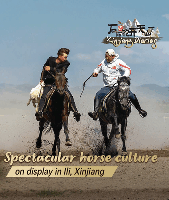Cavalier avec des géants : la culture équestre dans le parc Tianma d’Ili Cavalier avec des géants : la culture équestre dans le parc Tianma d'Ili video poster