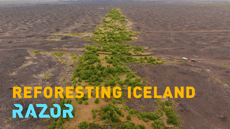 Comment l’Islande fait revivre ses forêts perdues Comment l'Islande fait revivre ses forêts perdues video poster