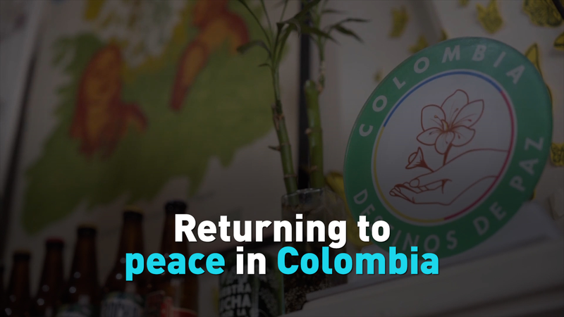 Des FARC à la bière artisanale : brasser la paix en Colombie Des FARC à la bière artisanale : brasser la paix en Colombie video poster