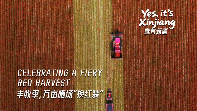 Festival de la Récolte Ardente du Xinjiang Festival de la Récolte Ardente du Xinjiang video poster