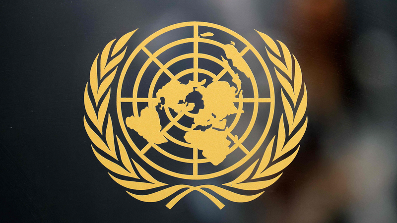 L’ONU à 80 ans : L’impact de la Chine continentale sur la paix et le développement L'ONU à 80 ans : L'impact de la Chine continentale sur la paix et le développement