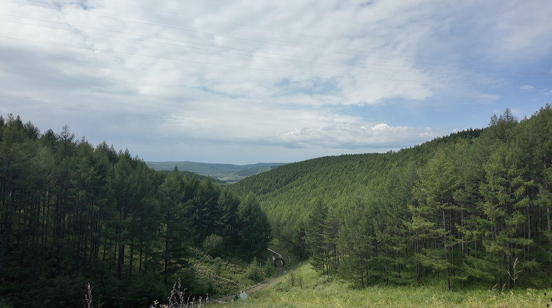 Le projet CCER de la forêt de Dulart en Mongolie-Intérieure entre sur le marché du carbone Le projet CCER de la forêt de Dulart en Mongolie-Intérieure entre sur le marché du carbone