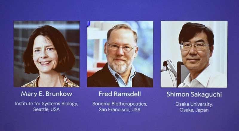 Un trio remporte le prix Nobel de médecine pour une percée sur la tolérance immunitaire Un trio remporte le prix Nobel de médecine pour une percée sur la tolérance immunitaire