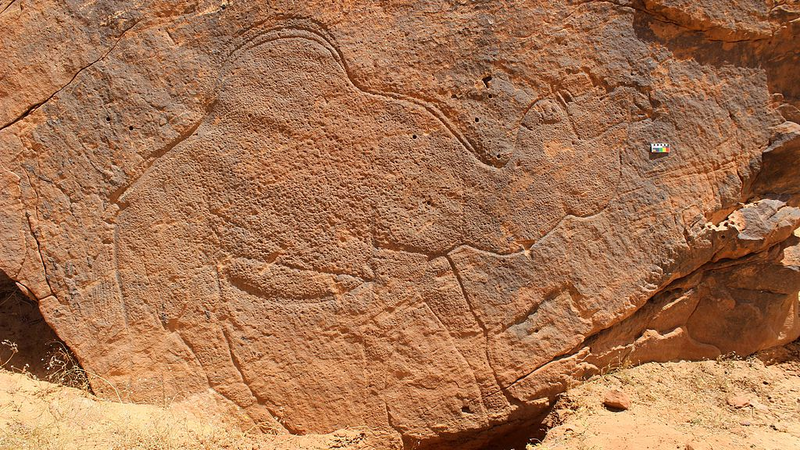 Les gravures rupestres anciennes de chameaux indiquent des points d’eau cachés dans le désert arabique Les gravures rupestres anciennes de chameaux indiquent des points d'eau cachés dans le désert arabique