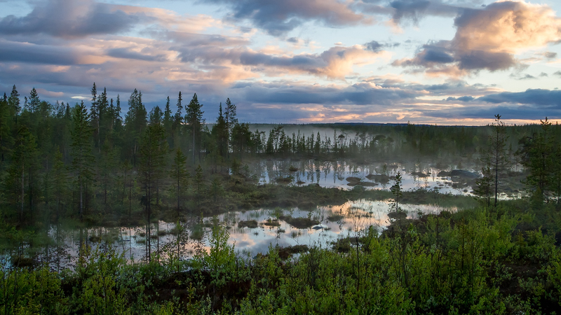 La Russie lance son premier projet forêt-climat dans son Arctique
