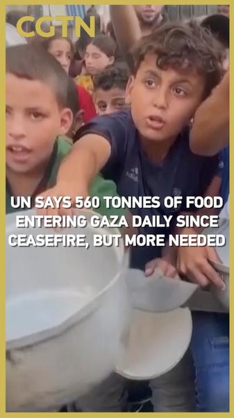 L’aide alimentaire quotidienne de Gaza atteint 560 tonnes mais nécessite davantage L'aide alimentaire quotidienne de Gaza atteint 560 tonnes mais nécessite davantage video poster