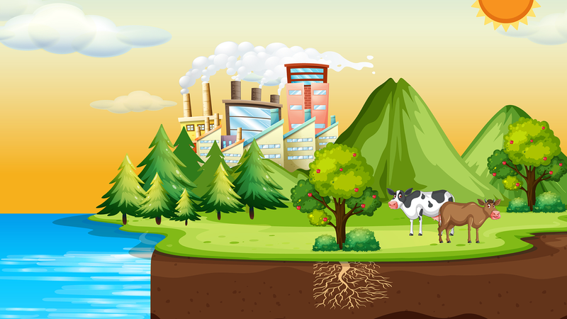 Un modèle simple améliore les simulations du cycle du carbone terrestre Un modèle simple améliore les simulations du cycle du carbone terrestre