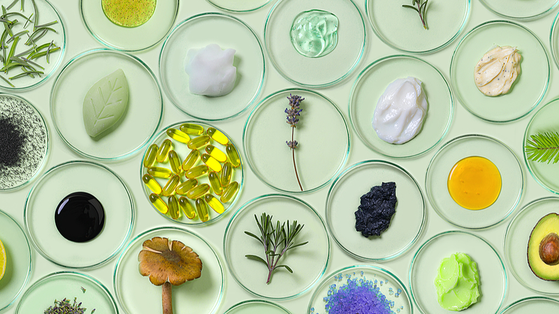 Anti-âge à base de plantes : la prochaine vague dans les cosmétiques durables