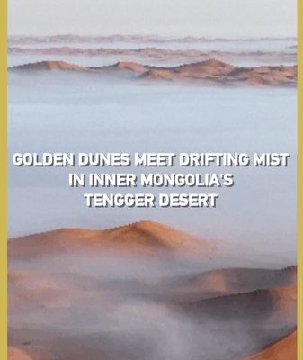 La brume rencontre les dunes dorées : un rare spectacle de pluie dans le désert de Tengger La brume rencontre les dunes dorées : un rare spectacle de pluie dans le désert de Tengger video poster