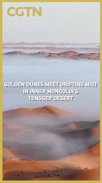 La brume rencontre les dunes dorées : un rare spectacle de pluie dans le désert de Tengger video poster