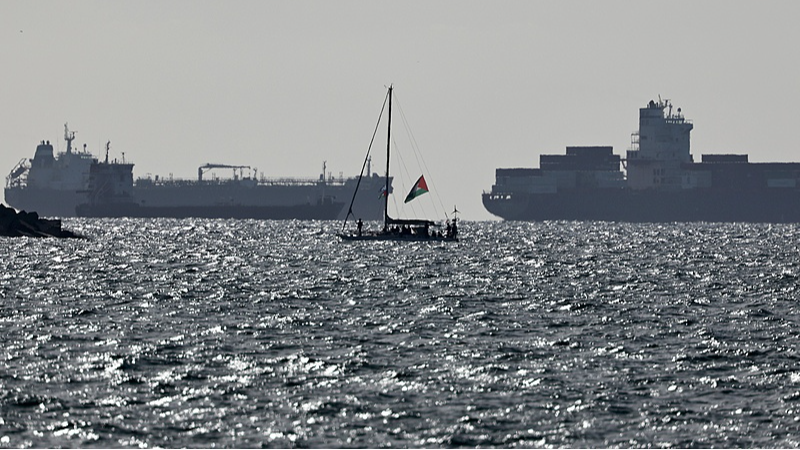 137 militants de la flottille de Gaza débarquent à Istanbul après leur détention 137 militants de la flottille de Gaza débarquent à Istanbul après leur détention