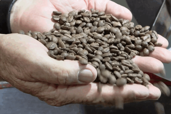 Le Brésil prospère au-delà des tarifs de Trump : de nouveaux marchés et une demande locale stimulent la croissance video poster