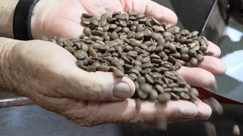 Le Brésil prospère au-delà des tarifs de Trump : de nouveaux marchés et une demande locale stimulent la croissance video poster