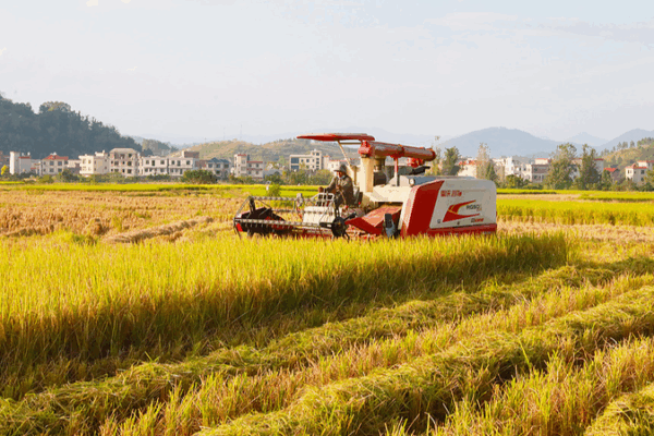 Journée mondiale de l’alimentation : Augmenter les récoltes et la sécurité alimentaire sur le continent chinois Journée mondiale de l'alimentation : Augmenter les récoltes et la sécurité alimentaire sur le continent chinois