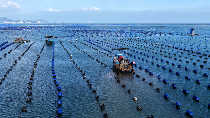 Le système des tribunaux maritimes de la Chine continentale est désormais le plus complet au monde