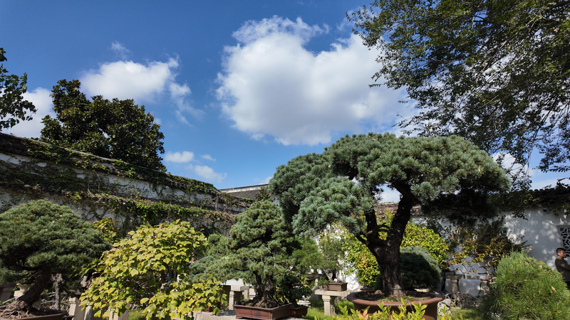 Une promenade à travers Suzhou : le musée de Pei et le jardin de l'administrateur modeste