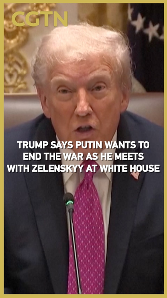 Trump déclare que Poutine et Zelenskyy souhaitent mettre fin à la guerre en Ukraine Trump déclare que Poutine et Zelenskyy souhaitent mettre fin à la guerre en Ukraine video poster