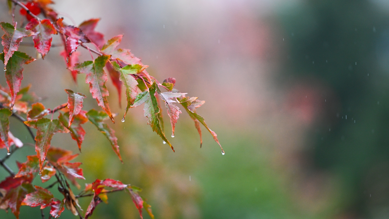 La Chine émet de nouvelles alertes pour fortes pluies et vents violents