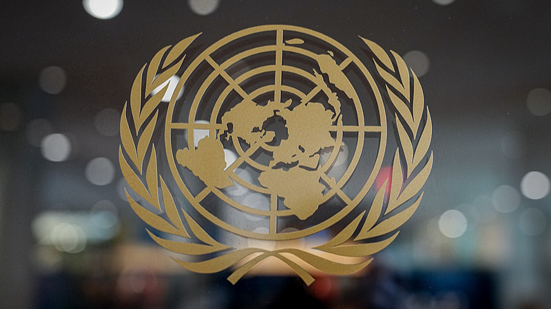 Le séminaire de Wuhan marque le 80e anniversaire de l'ONU, met en lumière la résolution 2758