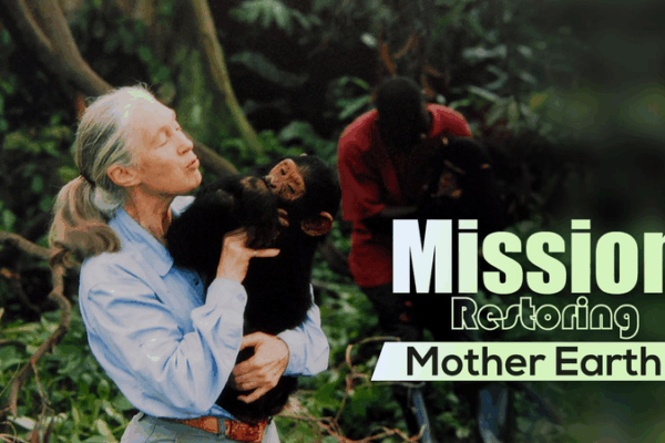 Jane Goodall, primatologue emblématique, décède à 91 ans Jane Goodall, primatologue emblématique, décède à 91 ans video poster