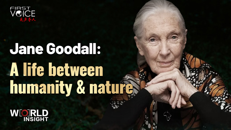 Jane Goodall: Faire le lien entre l’humanité et la nature Jane Goodall: Faire le lien entre l'humanité et la nature video poster