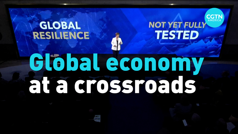 L’économie mondiale résiste aux tarifs douaniers, mais l’incertitude plane L'économie mondiale résiste aux tarifs douaniers, mais l'incertitude plane video poster
