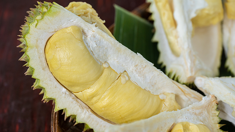 Durian thaï de haute technologie : le voyage numérique vers le continent chinois Durian thaï de haute technologie : le voyage numérique vers le continent chinois
